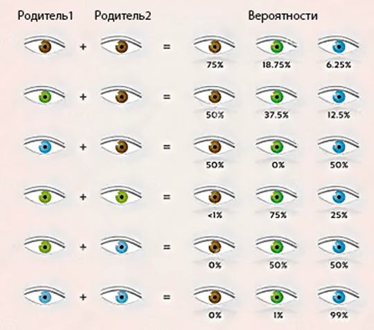 Наследование цвета глаз и генетика: таблица