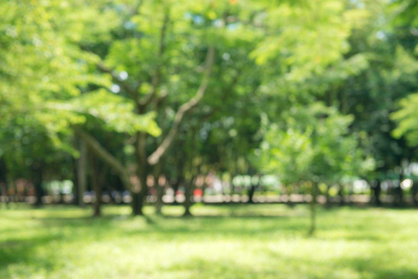 Каталог продукции Bausch+Lomb®: линзы плановой замены, однодневные ...